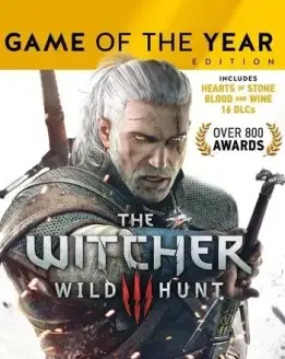 Witcher-game-of-the-year
